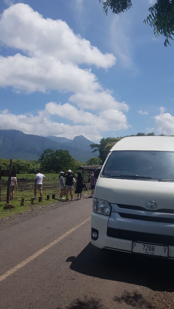 perjalanan tour & travel